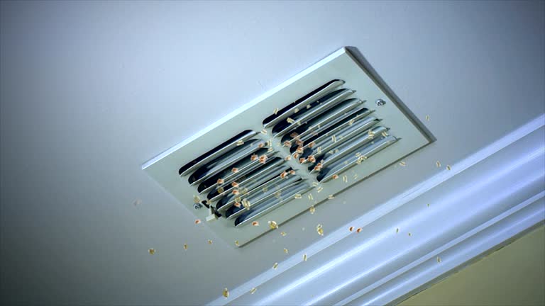 Best Home Air Vent Cleaning  in Sunset, LA