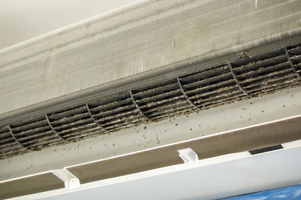 Professional Airduct Cleaning in LA